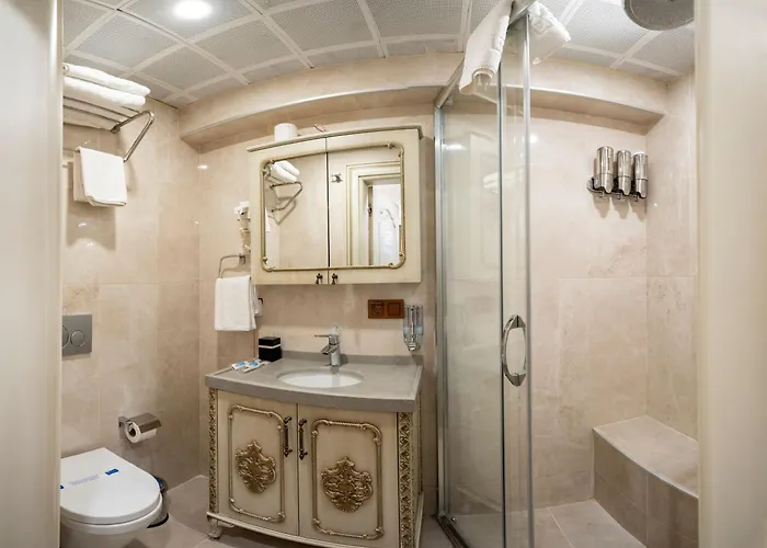 Almadina מלון 3*